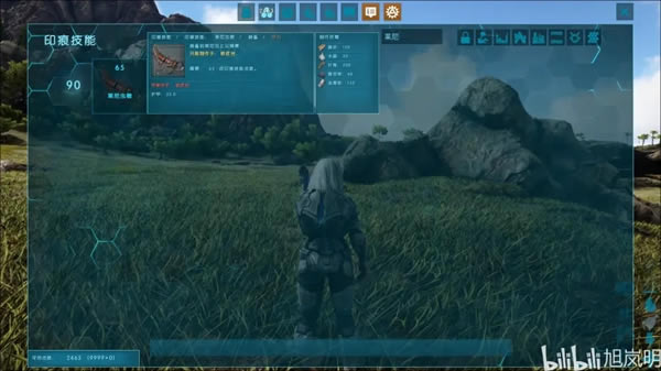 ����������������ѱ������ ѱ������������ϸ˵��