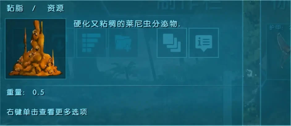 ���������������������� ����������ʲô