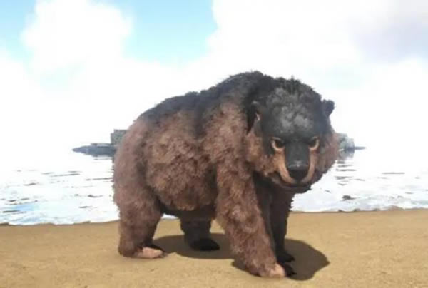 ������������µ�ѱ�������Ƽ�_��վ