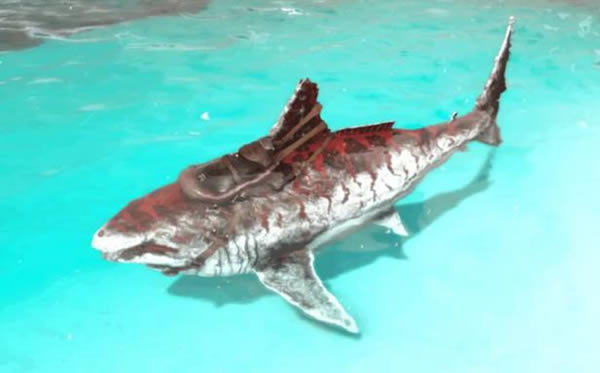 ������������µ�ѱ�������Ƽ�