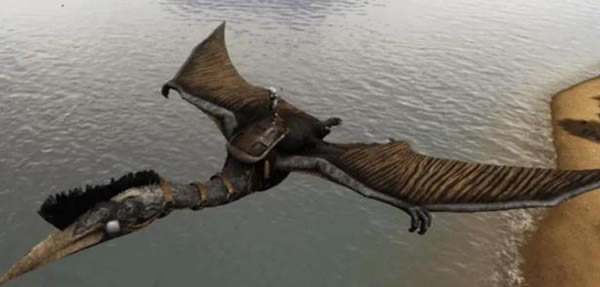 ������������µ�ѱ�������Ƽ�_��վ