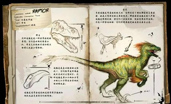 �����������ǰ��Σ������ͳ�� ��Щ����Σ��