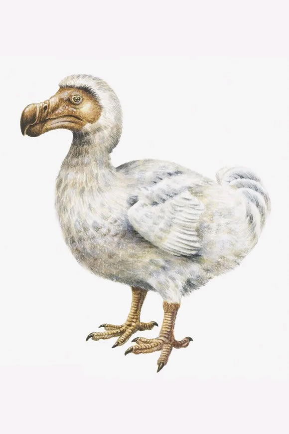 ��������������ֳ����������Կ���_��վ