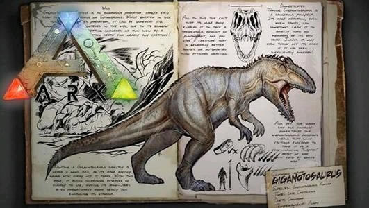 ��������������ֳ����������Կ���_��վ