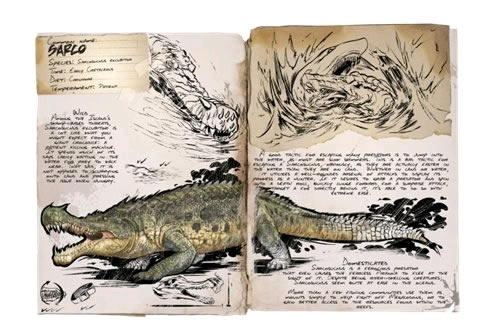 ��������������ֳ����������Կ���_��վ