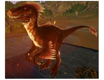 ��������������ֳ����������Կ���_��վ