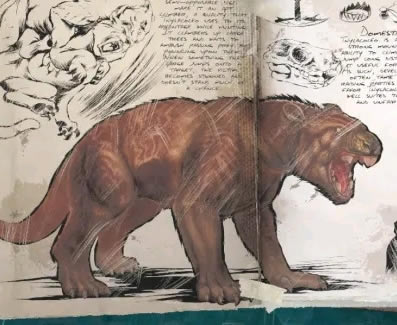 ��������������ֳ����������Կ���_��վ