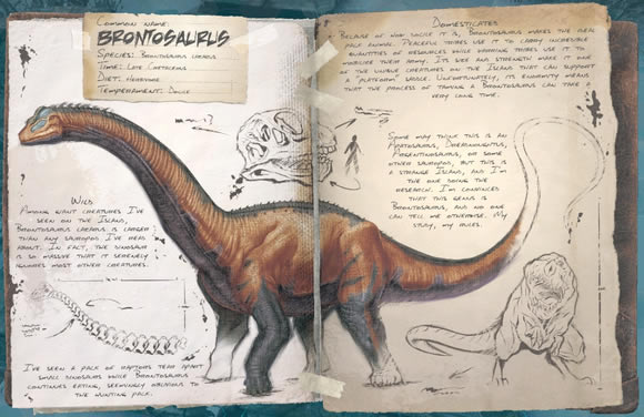 ��������������ֳ����������Կ���_��վ