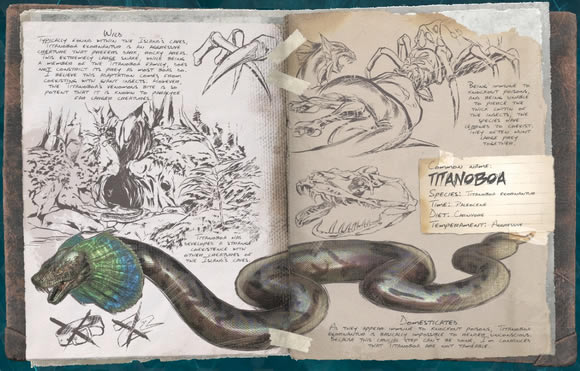 ��������������ֳ����������Կ���_��վ