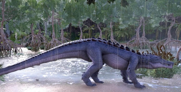 ��������������ֳ����������Կ���_��վ