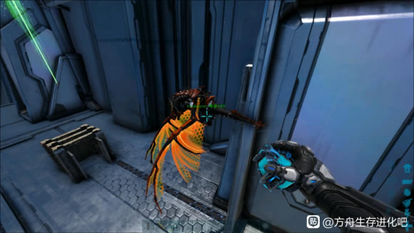 ���۴�����2��շ�������ѱ���������� ��շ������ѱ