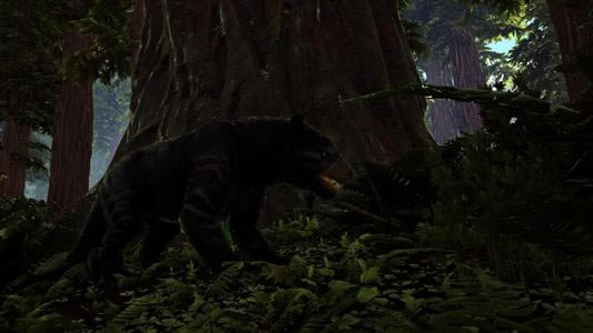 �����������ԭʼ�־�MOD����ѱ������ ����������ѱ��