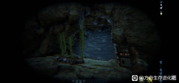 �����������������2����Ƥ����ȡ���� FederationExo�������_��վ