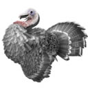 ������������ж��ڻ�����ȫ �ж���ȫ��Ʒ����_��վ