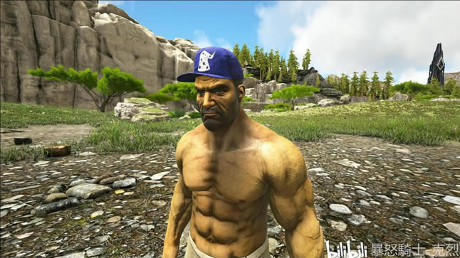 �����������ȫ�Ƥ��ͼ�� ����Ƥ����ۼ���