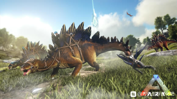 �����������TLC3��������������������������_��վ