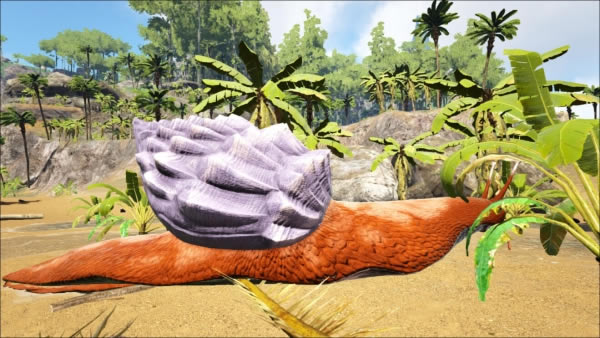 ��������������ģ��Prime��������ȫ ���MODPrime���������ȫ