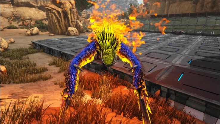 ���������������DLC��������ȫ