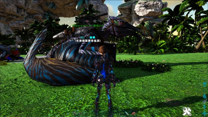 �����������ˮ����DLC��������ȫ ���������������_��վ