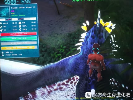 �����������ˮ������ѱ������ ˮ����DLC��ˮ������ѱ������