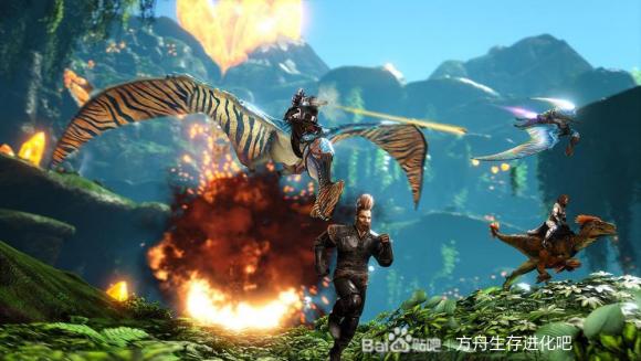 ������������������������ϸ˵�� ���������ʲô����