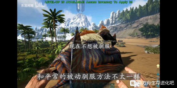 ����������������Ｙ�������ϸ˵�� ��������б�