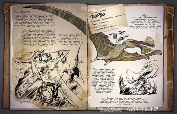 �����������ˮ���������Ｙ���������  ����������