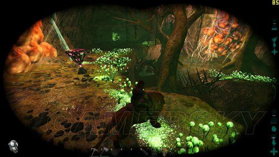 �����ǿ�