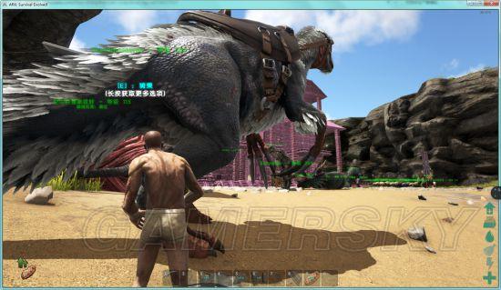 �����ǿ�