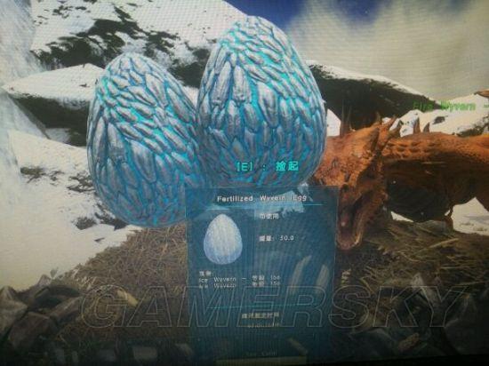 �����������������������÷���