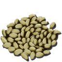 ������������������Ｐũ���﹥���ĵ�