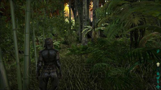 �����ǿ�