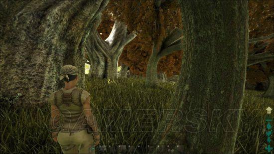 �����ǿ�