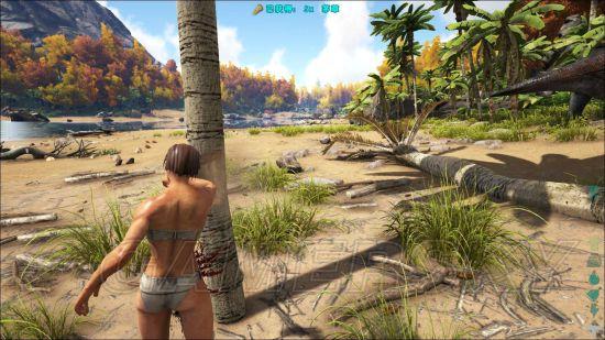 �����ǿ�