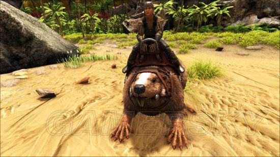 �����ǿ�