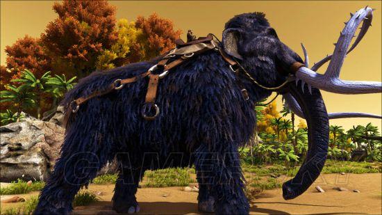 �����ǿ�