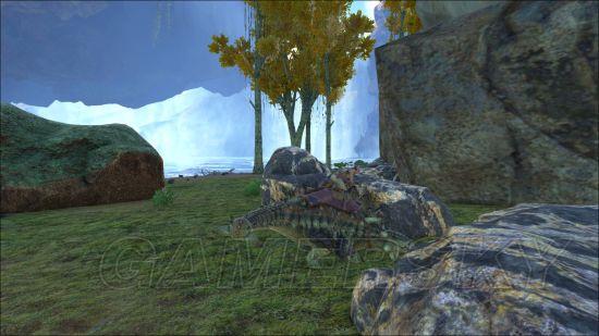 �����ǿ�