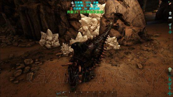 �����ǿ�