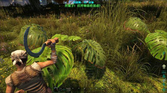 �����ǿ�