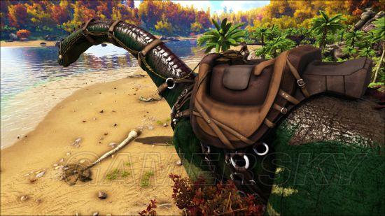 �����ǿ�