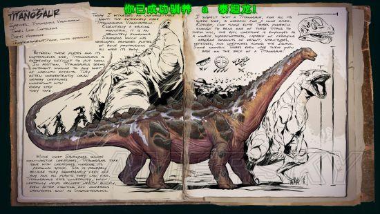 �����ǿ�