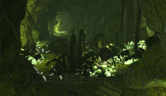 �����ǿ�