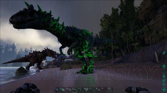 �����ǿ�