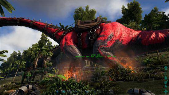 �����ǿ�