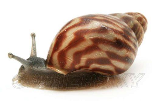 �����ǿ�