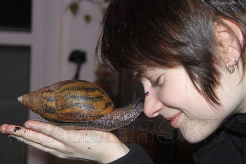 �����ǿ�