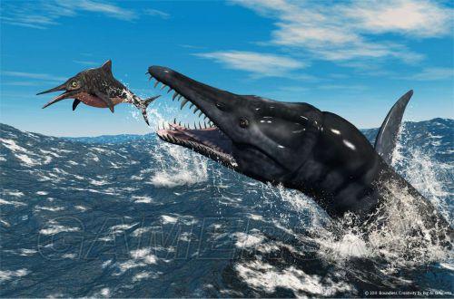 �����ǿ�