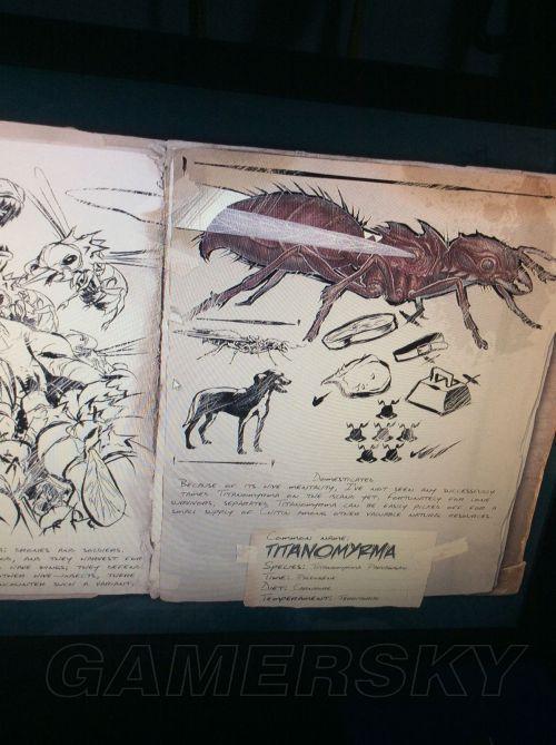 �����ǿ�