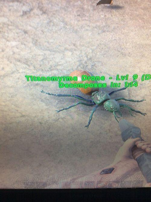 �����ۣ���������������ص�ͼ�Ľ���