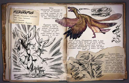 �����ǿ�